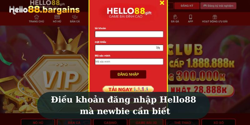 Điều khoản đăng nhập Hello88