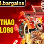 Thể thao Hello88